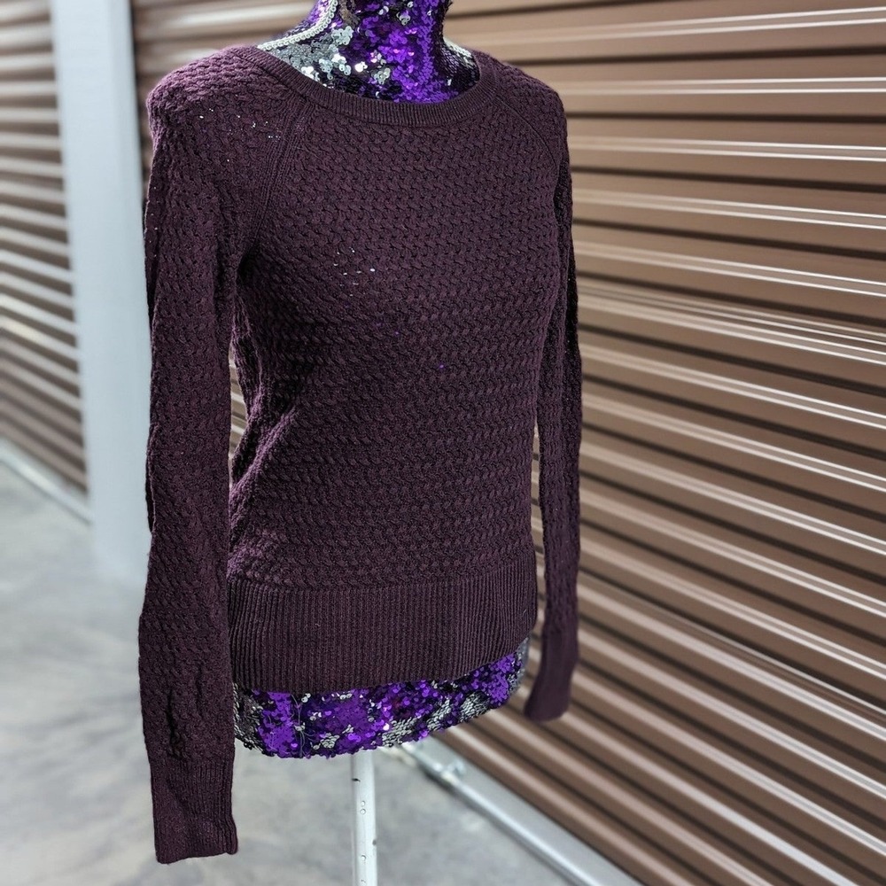 Dark‎ Academia Plum Knit Sweater American Eagle Wool Blend Zip Back XS Cozy